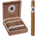 Ashton Prime Minister 25ct
