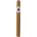 Ashton Prime Minister 25ct 2
