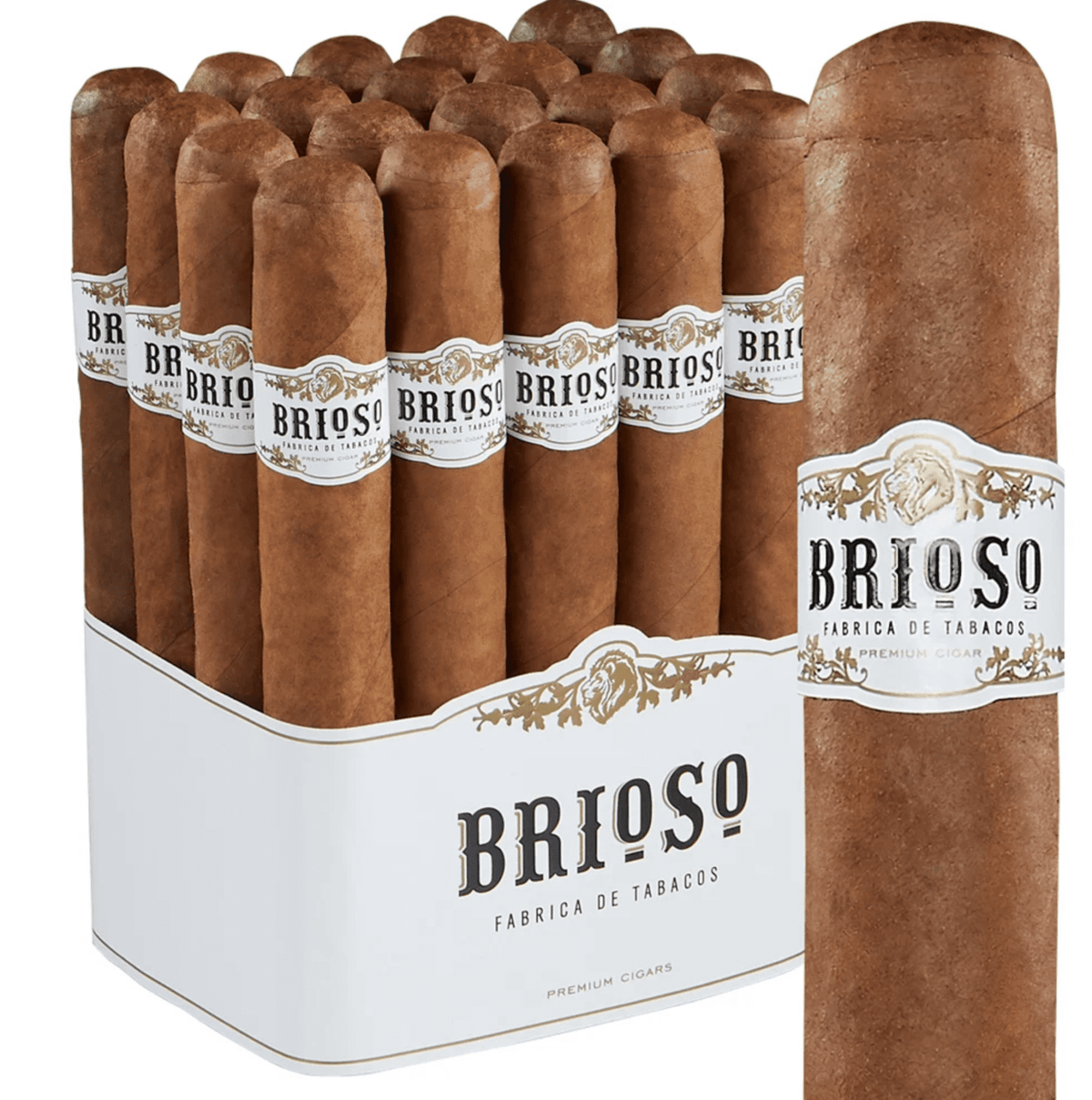 Brioso Gigante 20ct