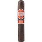 CAO Session Garage Robuso 20ct 2