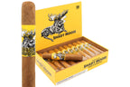 Chillin Moose Shady Moose Gigante 20ct