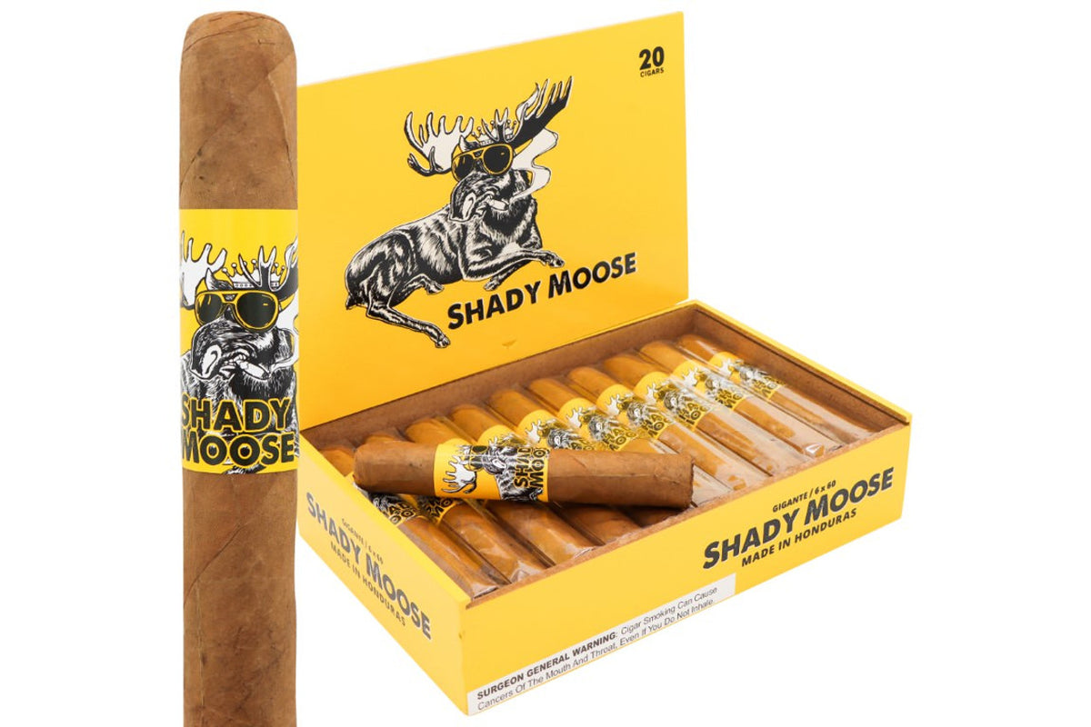 Chillin Moose Shady Moose Gigante 20ct