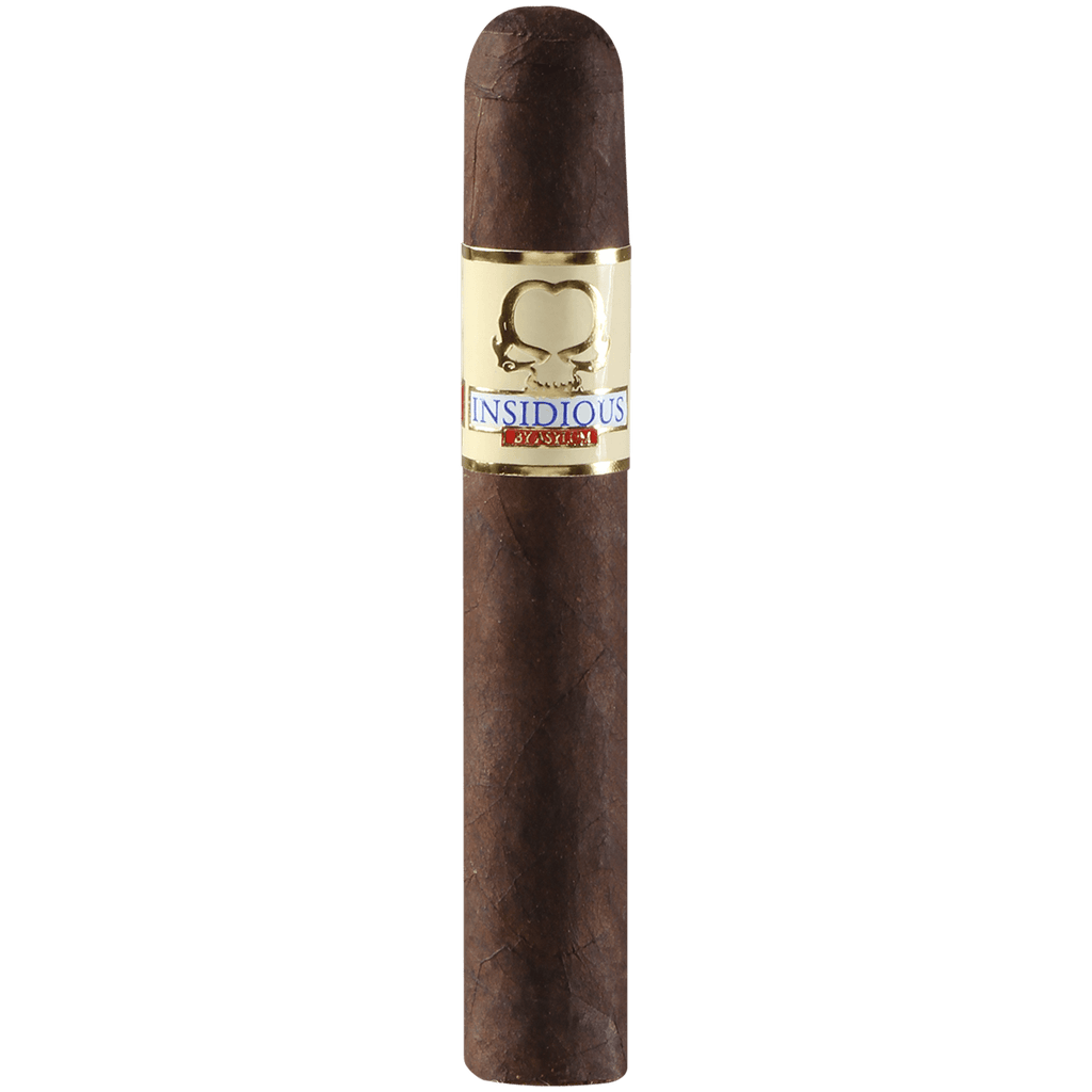 CLE Asylum Insidious Maduro 50x5 25ct 2