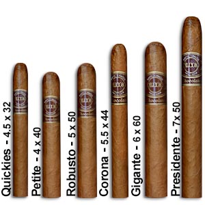 Delicioso Chocolate Petite 20ct