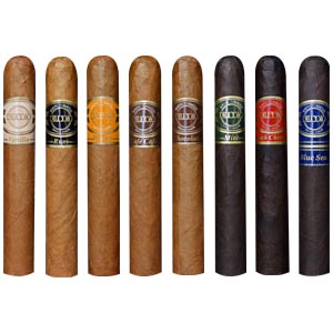 Delicioso Chocolate Robusto 20ct 2