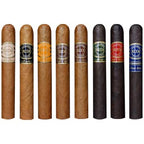 Delicioso Chocolate Robusto 20ct 2