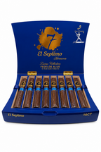 El Septimo Rebelds Blue 16ct