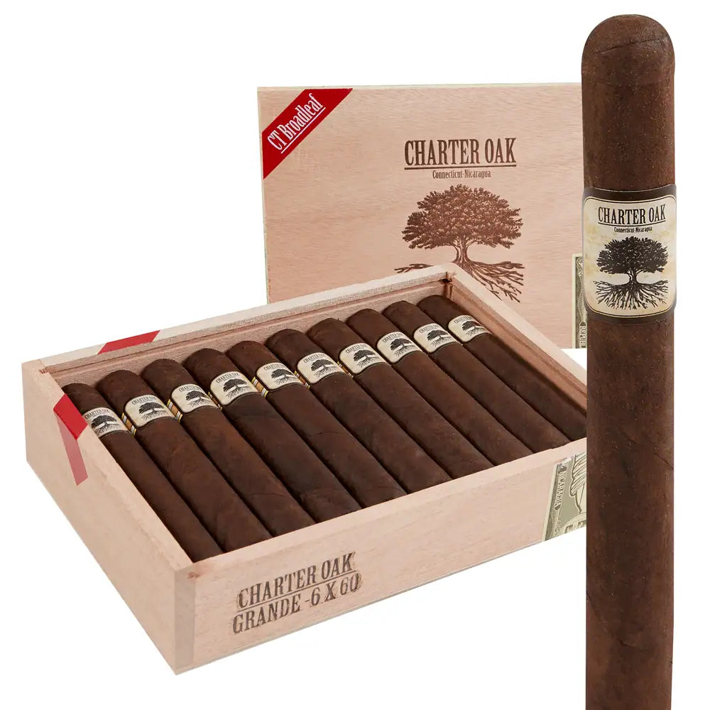 Charter Oak CT Broadleaf Grande 20ct
