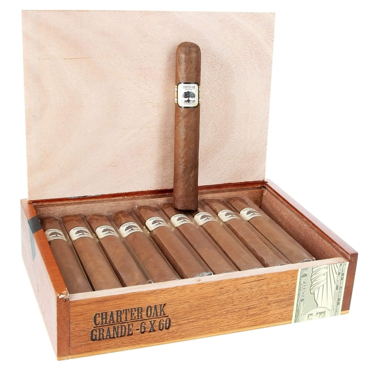 Charter Oak Habano Grande 20ct