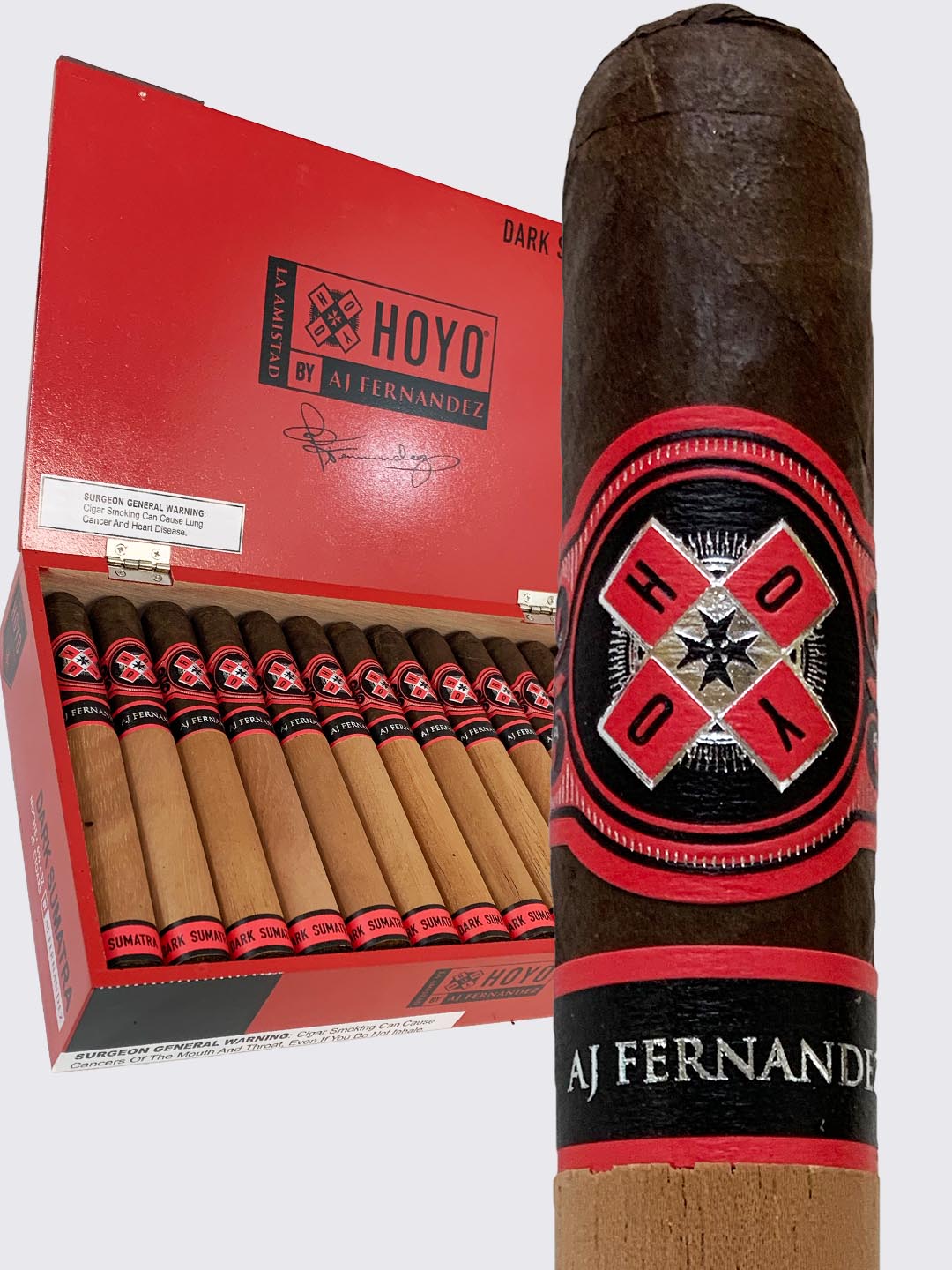 Hoyo La Amistad Dark Sumatra Noche 25ct