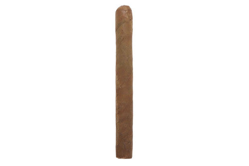 J.C Newman Trader Jacks Midnight 20ct 3