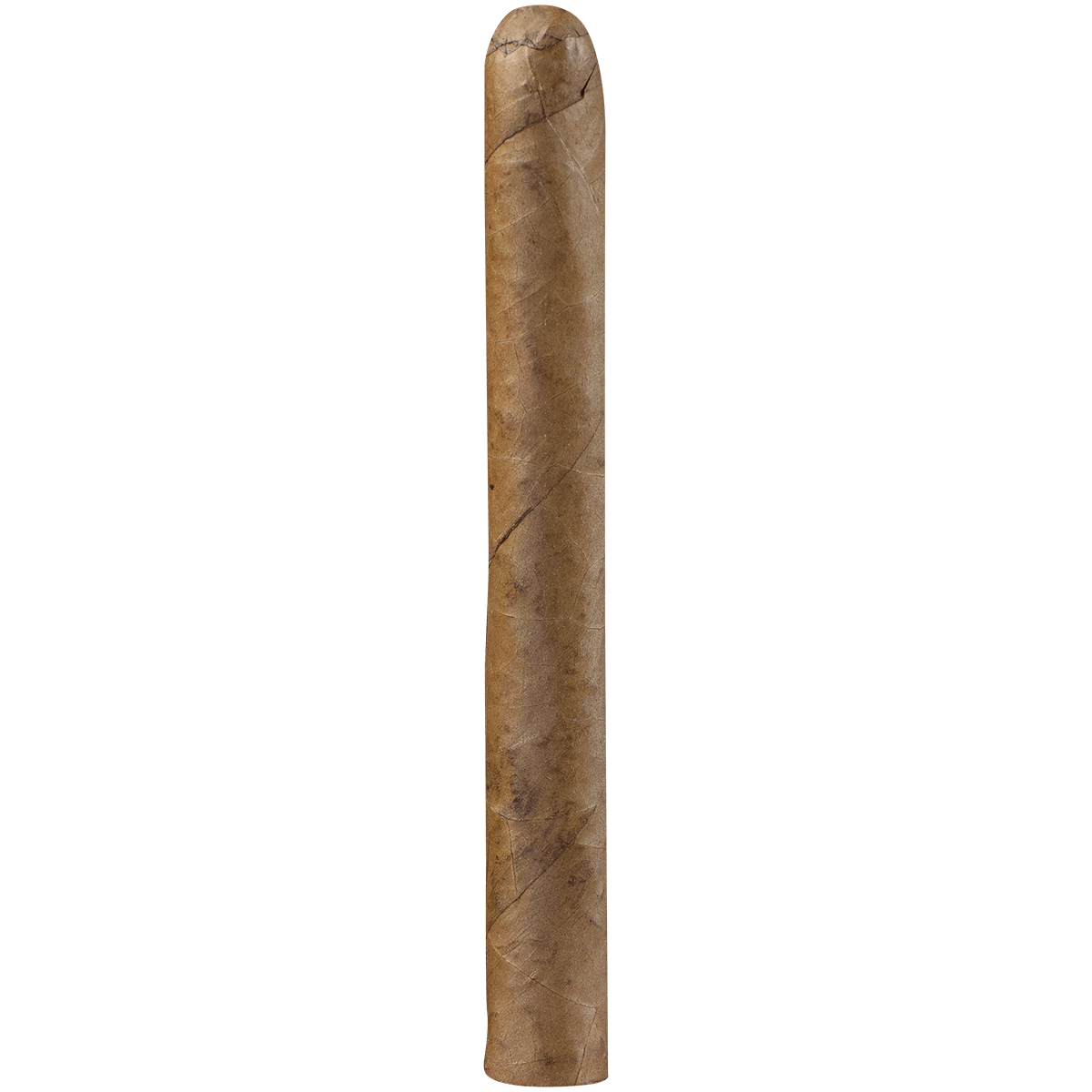 J.C. Newman Trader Jacks Sunrise 20ct 2