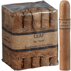 Leaf By Oscar Connecticut Sixty 20ct