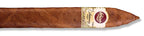 Padron 1964 Anniversary Torpedo Natural 20ct 2
