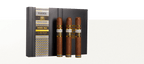 Plasencia Cosecha 151 La Tradicion Toro 10ct 2