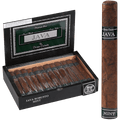 Rocky Patel Java Mint Robusto 24ct