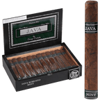 Rocky Patel Java Mint Robusto 24ct