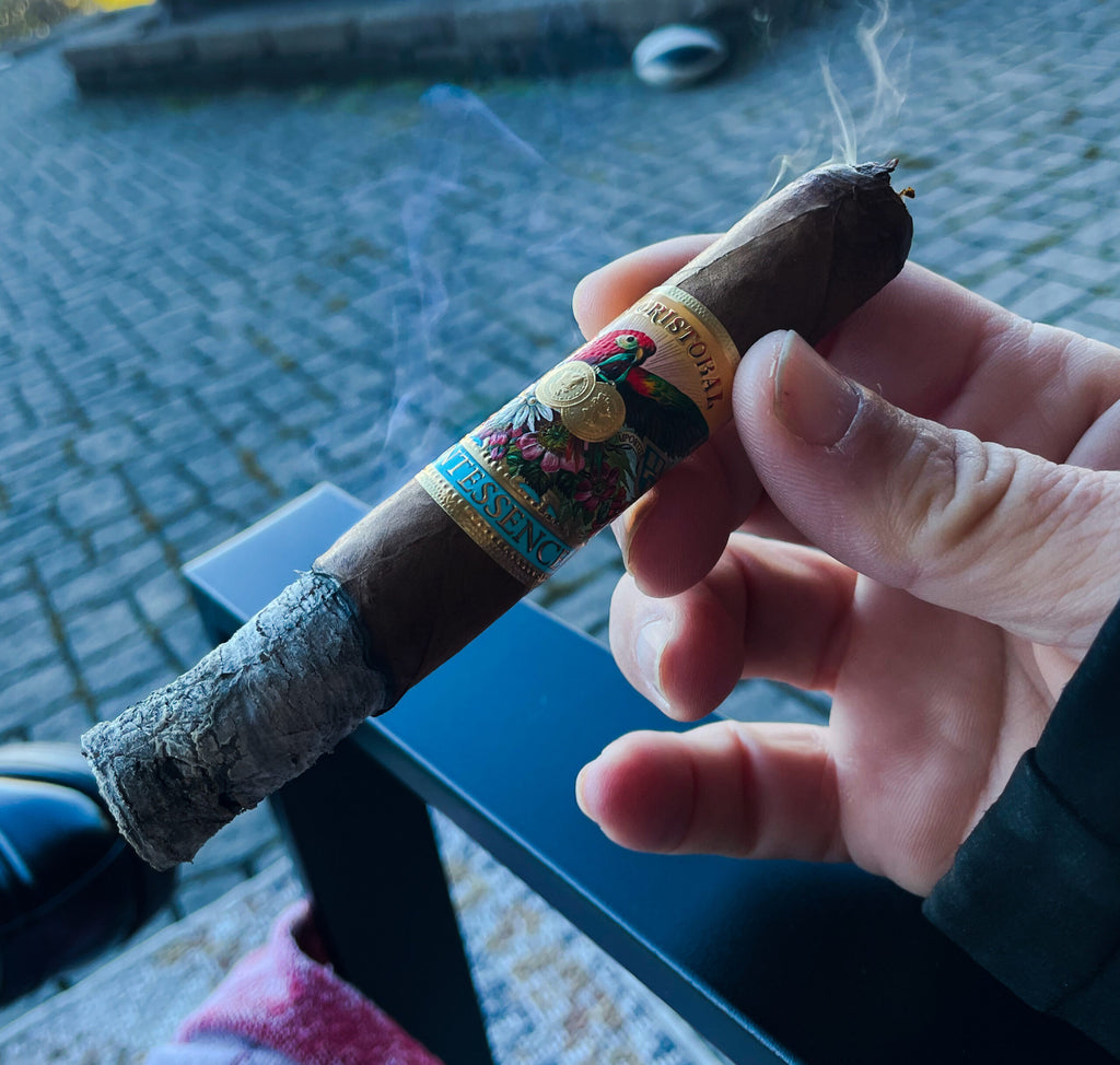 San Cristobal Quintessence Robusto 24ct 3