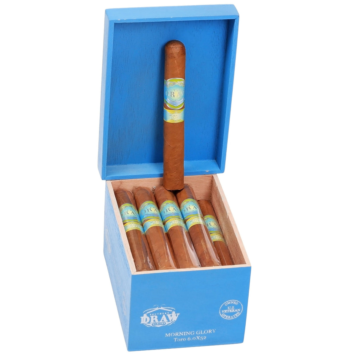 Southern Draw Morning Glory Toro 20ct