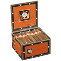Tatiana Chocolate Robusto 25ct