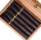 Padron Black PB 97 Maduro 10ct