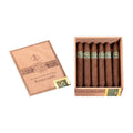 Casdagli Daughter Of The Wind Rabicano Salomone 12ct