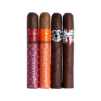 CLE Asylum Fresh Pack of 4