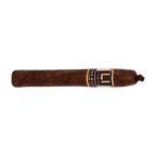 Jake Wyatt Lithium Toro 22ct 2