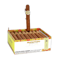 Macanudo Robust Hyde Park 25ct