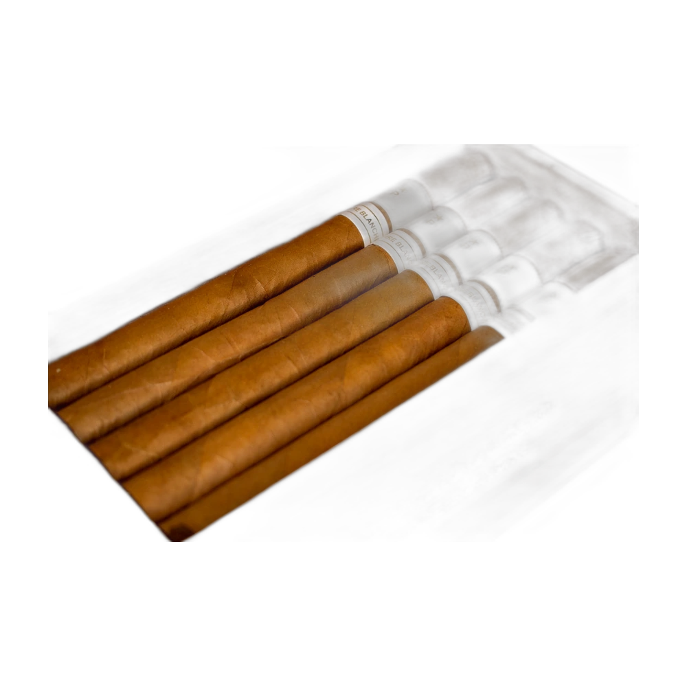 Patoro Terre Blanche Lancero 25ct