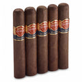 Punch Clasico Robusto Pack of 5