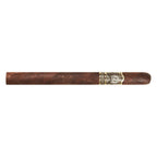 Tabernacle Broadleaf Lancero 24ct