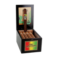 The Upsetters Zola 20ct