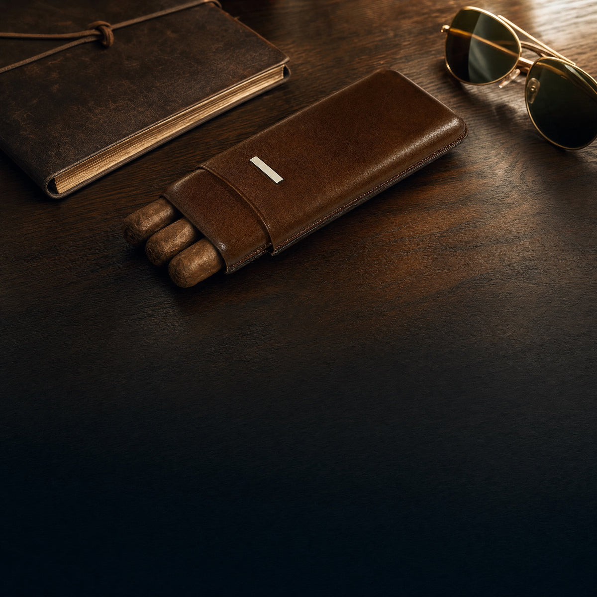 Prometheus brown leather cigar case